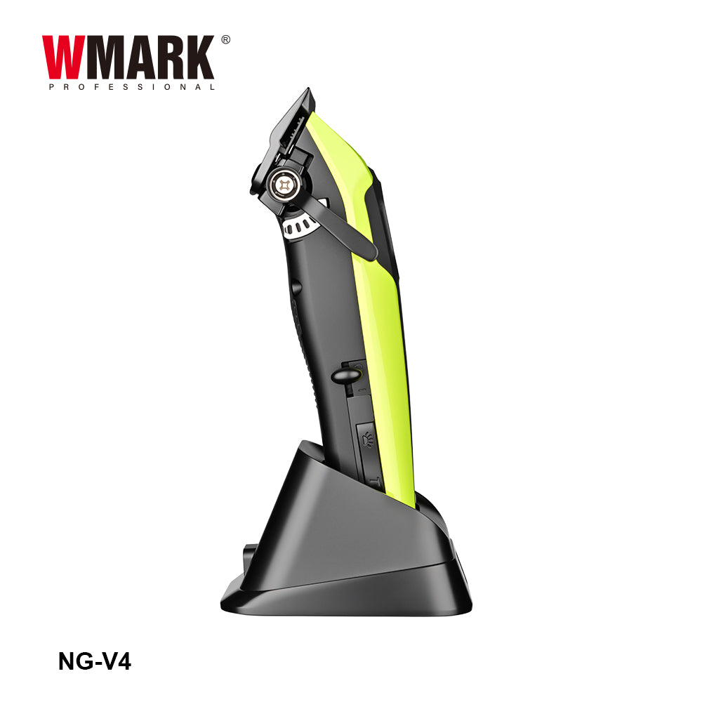 NG-V4